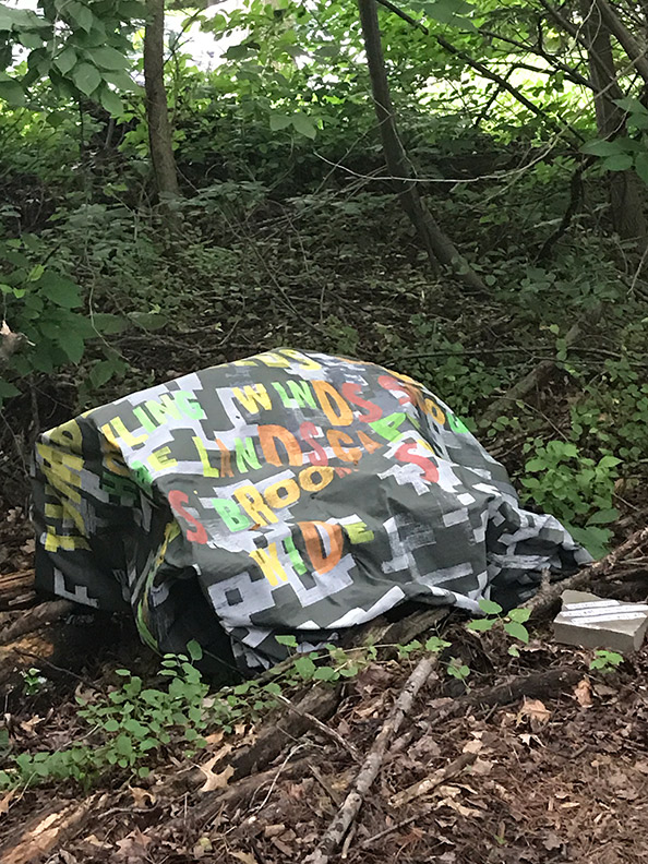 Sanzi Kermes,  Tumbleweeds cavort  Howling winds scour the landscape  Nature’s broom sweeps wide